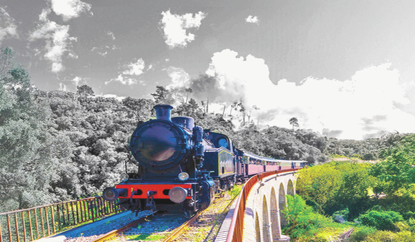 Animations et passe-temps